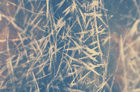 abstract background of dry grass with grunge texture, tonedの写真素材
