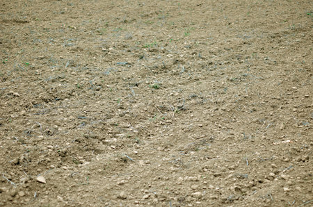 Plowed field ready for sowing, closeup of agricultural backgroundの写真素材