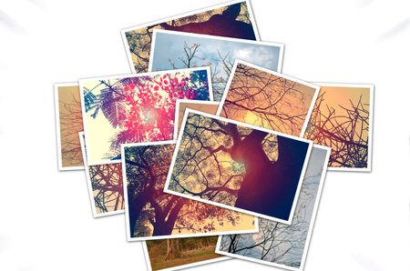 photo collage on the theme of autumn and winter. photo collageの写真素材