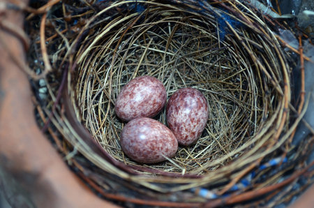 Grunge blue background with space for text or image. Vintage textureの写真素材