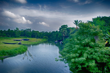 Tropical landscape with river, palm trees and cloudy sky.の写真素材