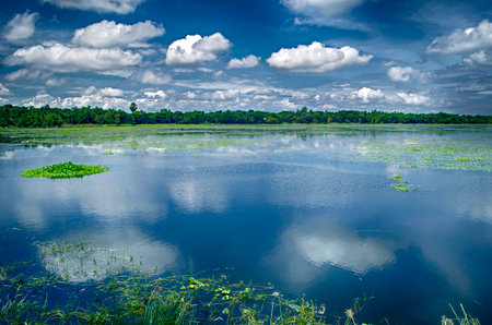 Landscape view of the lake with blue sky and white clouds.の写真素材