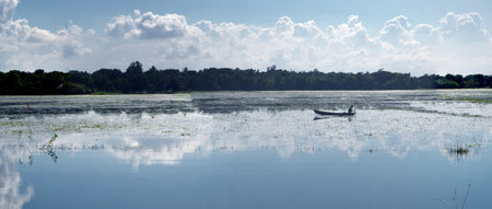 Panoramic view of a small boat floating on the Amazon river in Brazilの写真素材
