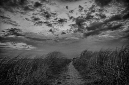 Dramatic black and white image of a path in the beach.の写真素材