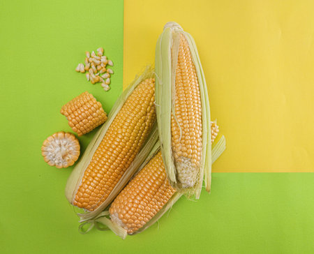 Fresh sweet corn on cobs on yellow  and green background, closeup, top view