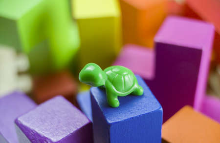 Close up of plasticine turtle toy on colorful wooden blocks background.の写真素材