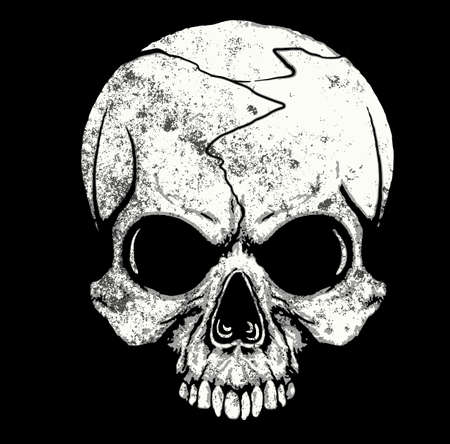 Skull T shirt Graphic Designのイラスト素材