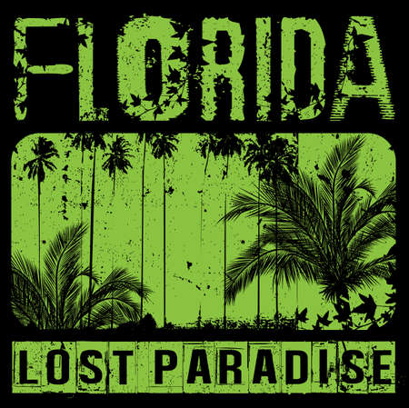 Sunset at tropical beach floridaのイラスト素材