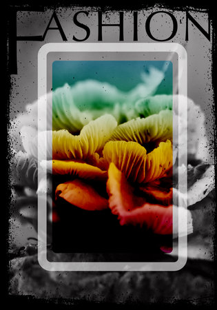 Fashion poster artの写真素材