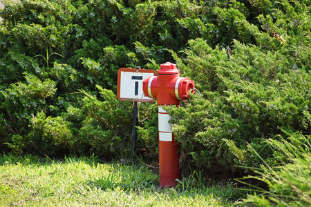 Fire hydrant in the parkの写真素材