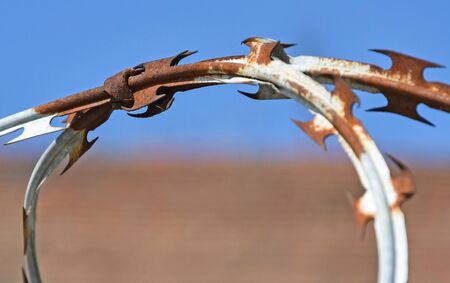 Barbed wire fence of the prisonの写真素材