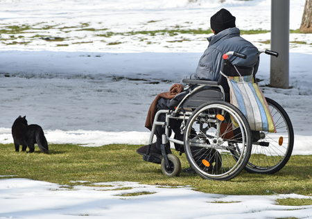 Old man in wheelchair with his cat outdoor in winterの写真素材