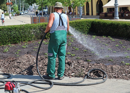 Gardener is watering the plants on the city street