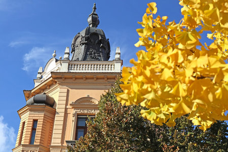 Old building with yellow ginkgo tree leaves in foreground
