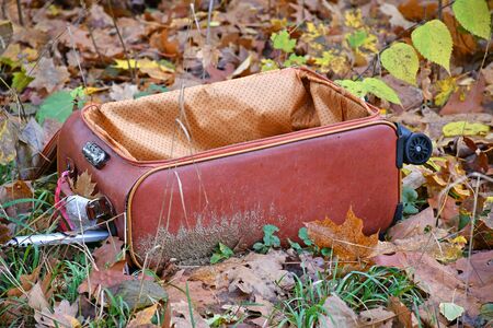 Old ruined suitcase in the woodsの写真素材