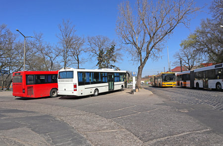 Buses standing at the terminal