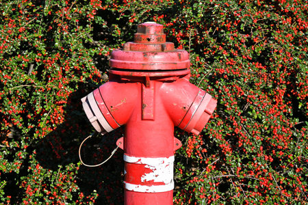Fire hydrant in autumn time