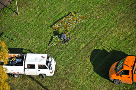 Flowers ready to planting autumn time from aboveの写真素材