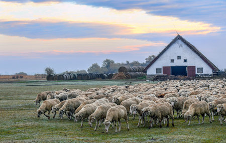 Barn at Hortobagy in Hungaryの写真素材