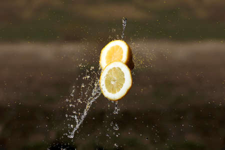 Lemon water drops fresh citrus yellow freshnessの写真素材