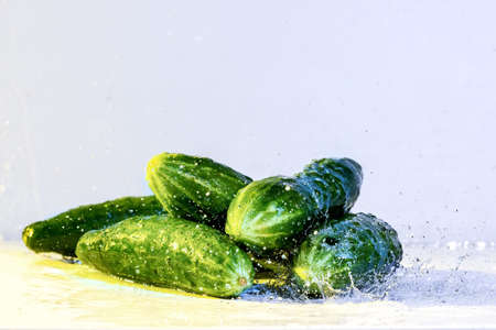 cucumbers fresh water drops green vegetarian whiteの写真素材