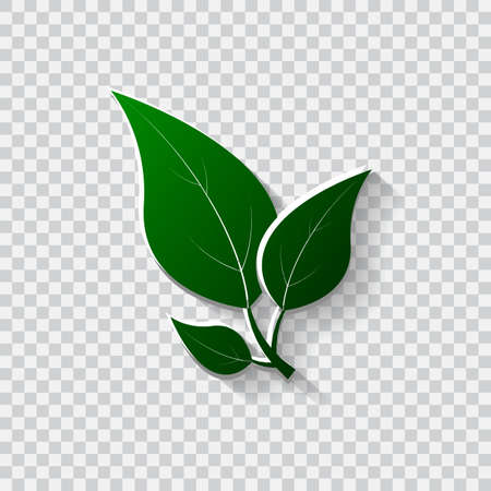 Green leaves illustration. Eco friendly backgroundのイラスト素材