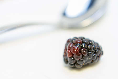 Fresh ripe blackberryの写真素材