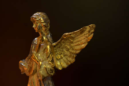 Winged Angel Playing Stringed Instrumentの写真素材