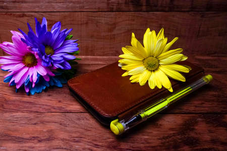 Color Dyed Daisy Flowers On Wood Backgroundの写真素材