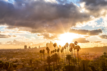 Los Angeles Golden Hour With Clouds and Palm Treesの素材 [FY31081720877]