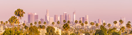 Downtown Los Angeles and Palm Trees Panoramaのeditorial素材