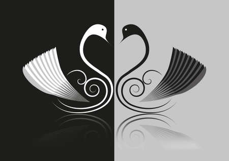 two swans with heart and swirlsのイラスト素材