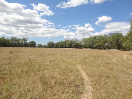 Path to nature           の写真素材