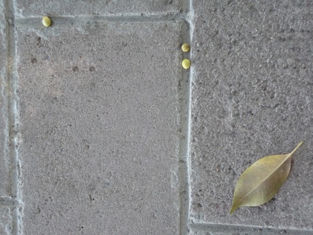 concrete wall                               の写真素材