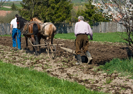 Two men plowing the land の写真素材