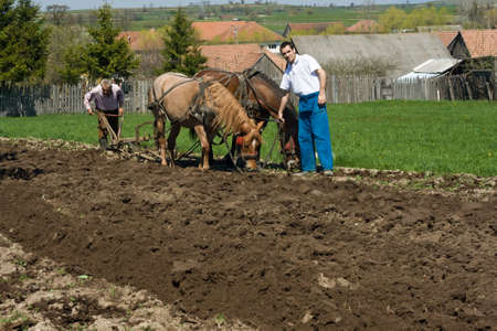 Resting on the land during the plow の写真素材