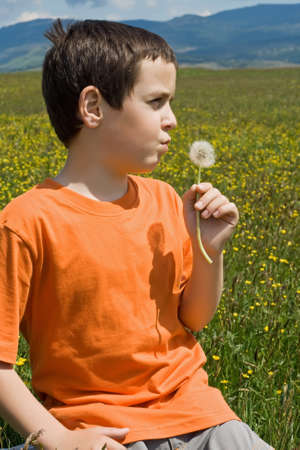 Little boy blowing dandelion on the meadowの写真素材