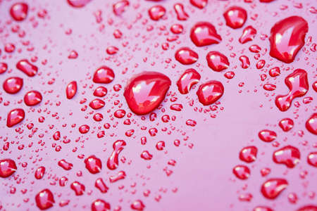 Water dropsの写真素材