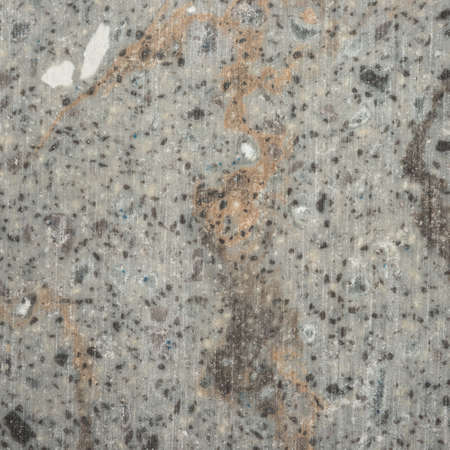 Background of stone texture. High definitionの写真素材