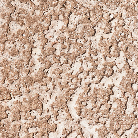 Background texture from the crystals of saltの写真素材