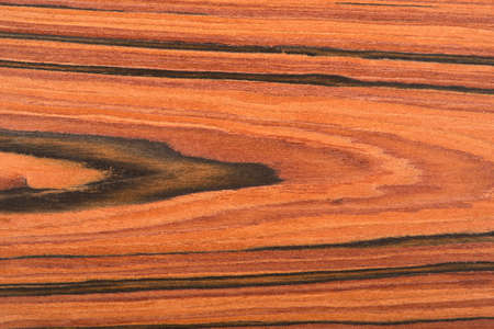 Fragment background of wooden texture for designersの写真素材
