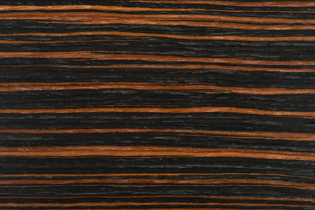Fragment background of wooden texture for designersの写真素材