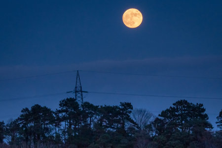 Orange Moon Over a Pylon and Trees, Enniskerry, County Wicklow