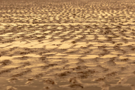 Golden Sand Ripples on Sandymount Strand, Co. Dublinの写真素材