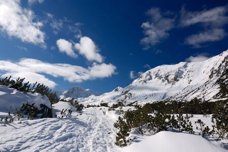 Winter mountain season landscape, Carpathians, Romaniaの写真素材