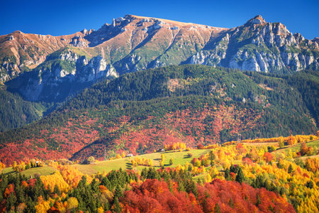 Bucegi, Carpathian Mountains - Romania. Beautiful autumn colors scenic landscape in Rucar-Bran touristic romanian landmark.の写真素材