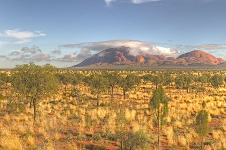 Early morning light in the Simpson desert, Kata Tjuta (The Olgas), Australiaの写真素材