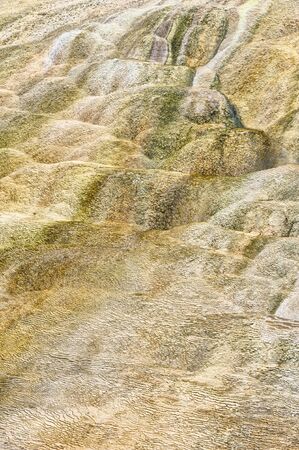Colorful mineral deposits, Mammoth Hot Springs, Yellowstone National Park, Wyoming, USAの写真素材