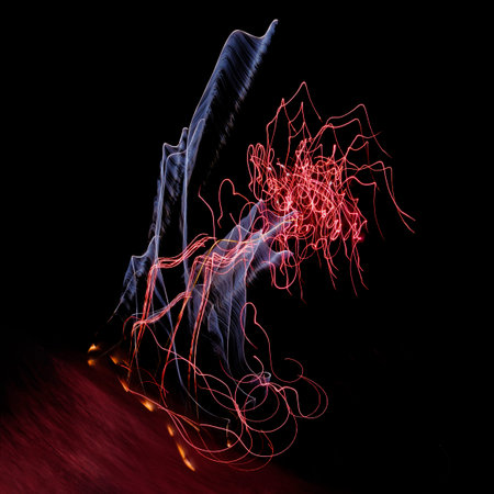 Art created by painting with light during fireworks display