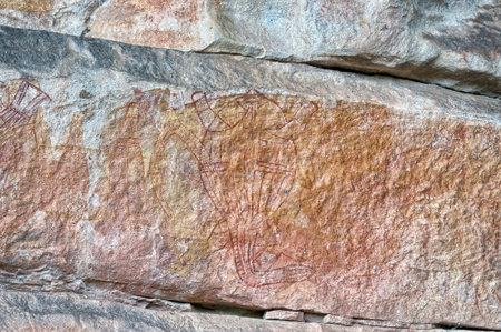 Ancient rock drawing of animals, Northern Territories, Australiaの写真素材